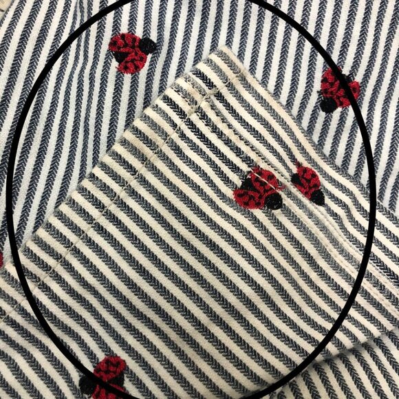 Free People Striped Straight Leg Pants - Blue and Red - Picture 10 of 10